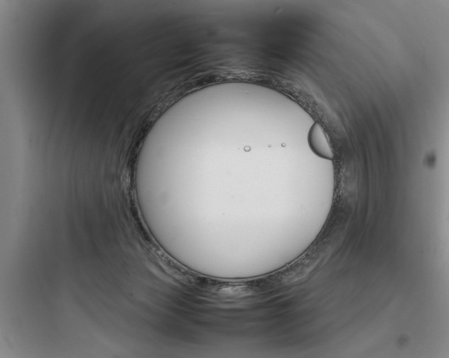 X0000097960173200803241050