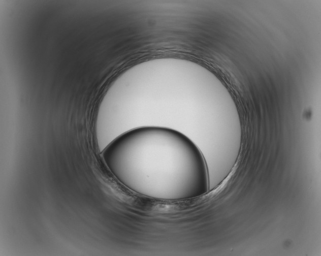 X0000097960174200803241050