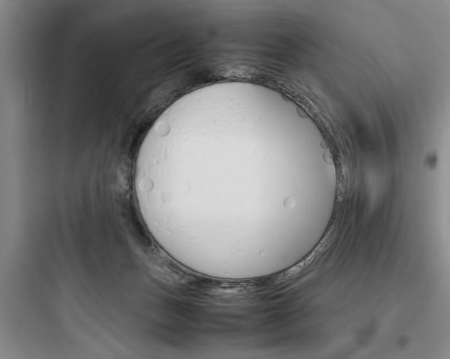X0000097960175200803241050