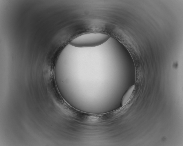 X0000097960176200803241050