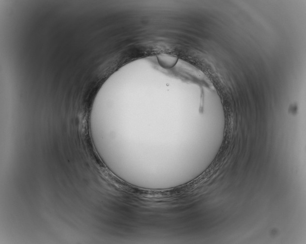 X0000097960177200803241050