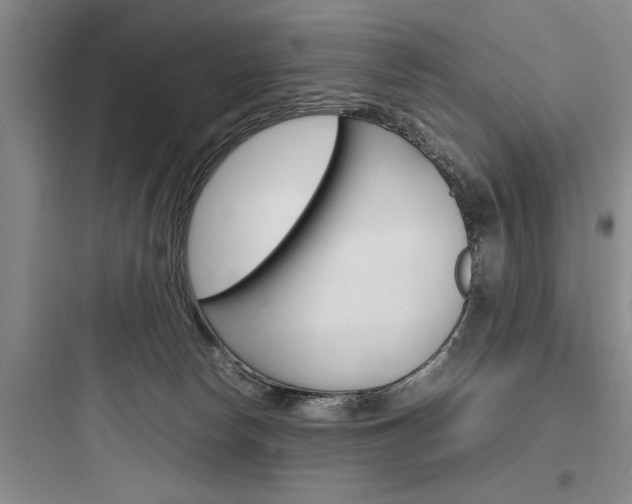 X0000097960178200803241050