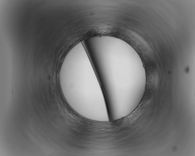 X0000097960180200803241050