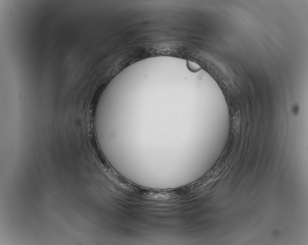 X0000097960181200803241050