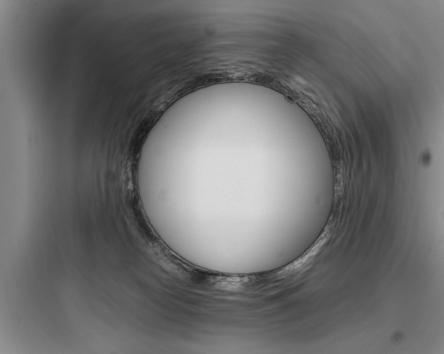 X0000097960182200803241050