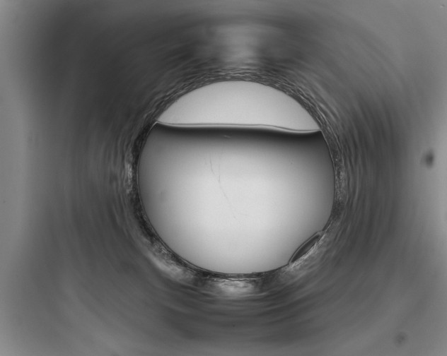 X0000097960183200803241050