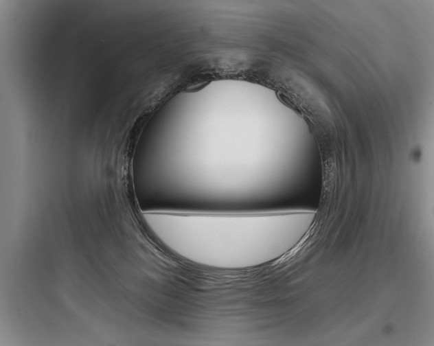 X0000097960184200803241050