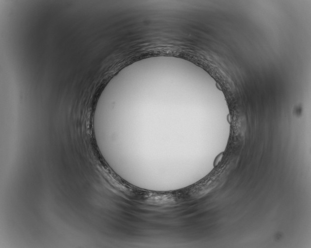 X0000097960185200803241050