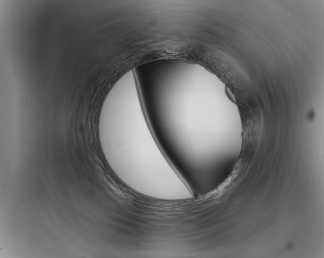 X0000097960186200803241050