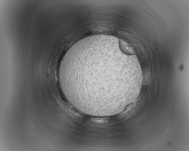 X0000097960187200803241050