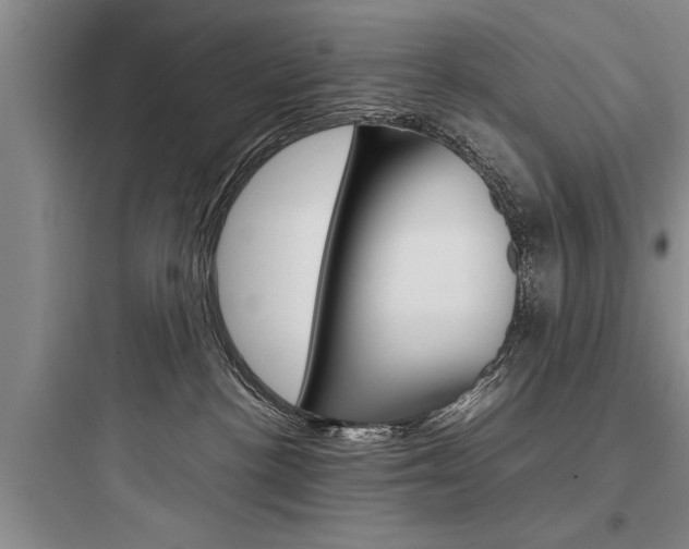 X0000097960188200803241050