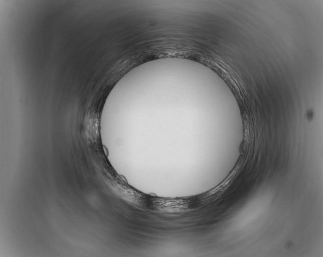 X0000097960191200803241050