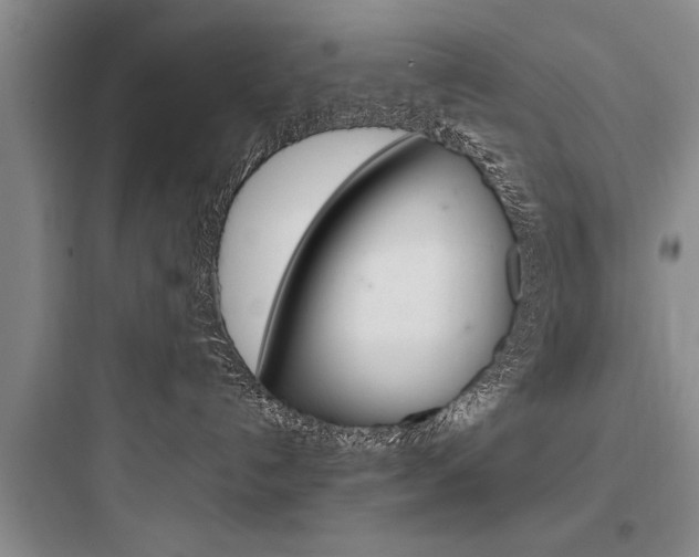 X0000097960192200803241050