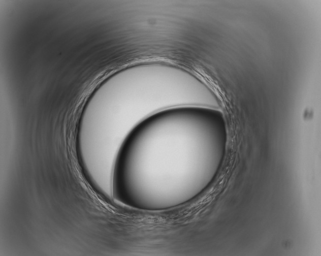 X0000097960193200803241050