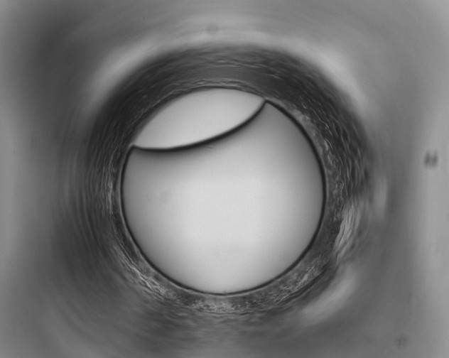 X0000097960194200803241050