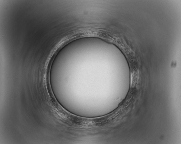 X0000097960195200803241050