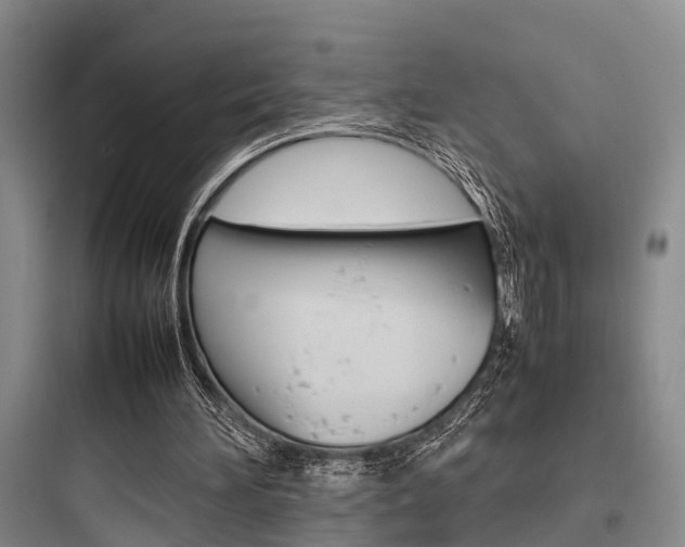 X0000097960196200803241050