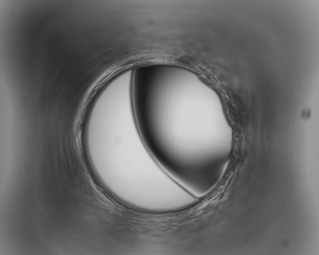 X0000097960197200803241050