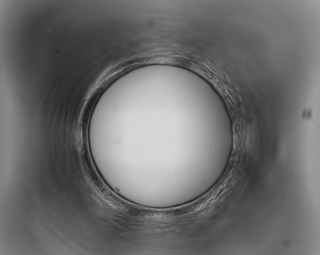 X0000097960198200803241050