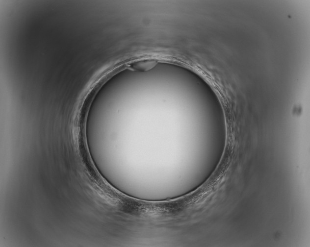 X0000097960199200803241050