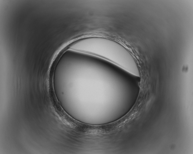 X0000097960200200803241050