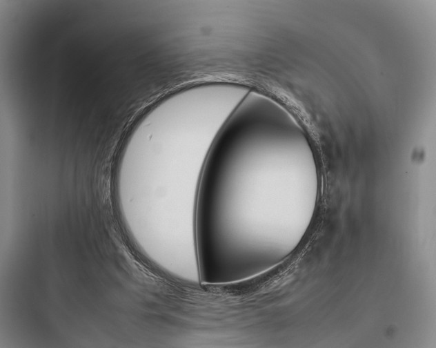 X0000097960201200803241050