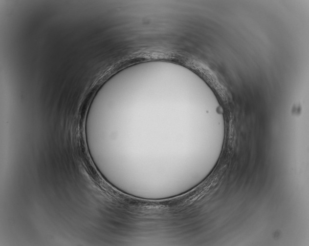 X0000097960202200803241050