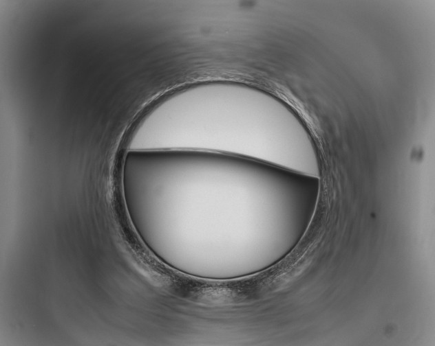X0000097960203200803241050