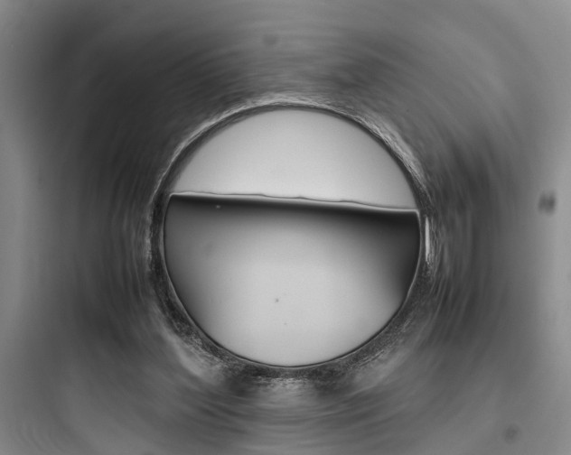 X0000097960204200803241050