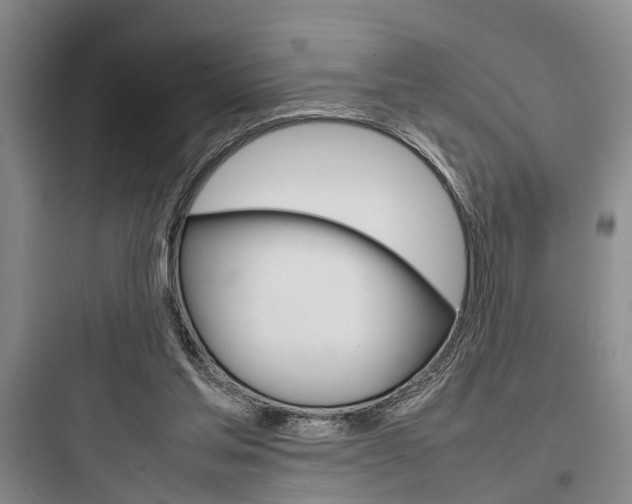 X0000097960205200803241050
