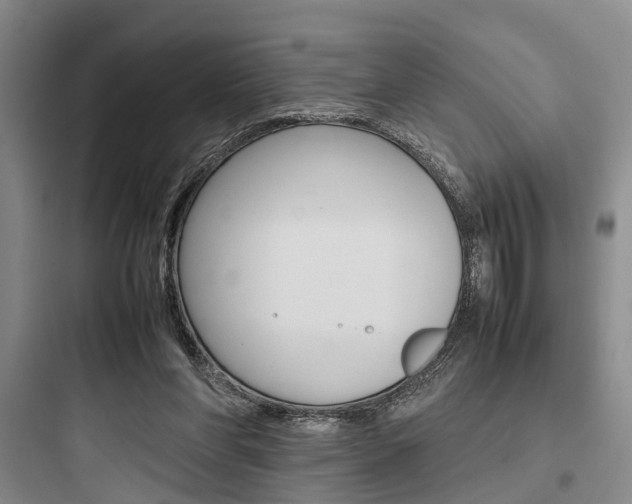 X0000097960206200803241050