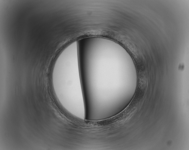 X0000097960207200803241050