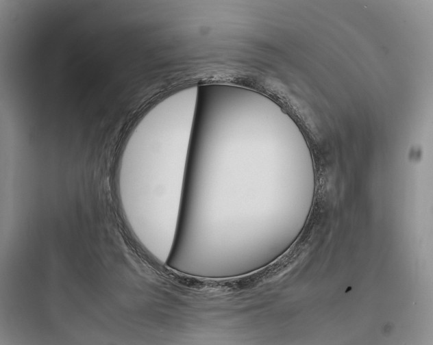 X0000097960209200803241050