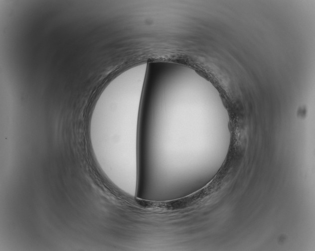 X0000097960211200803241050