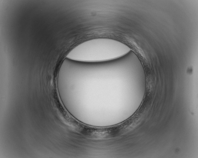 X0000097960213200803241049