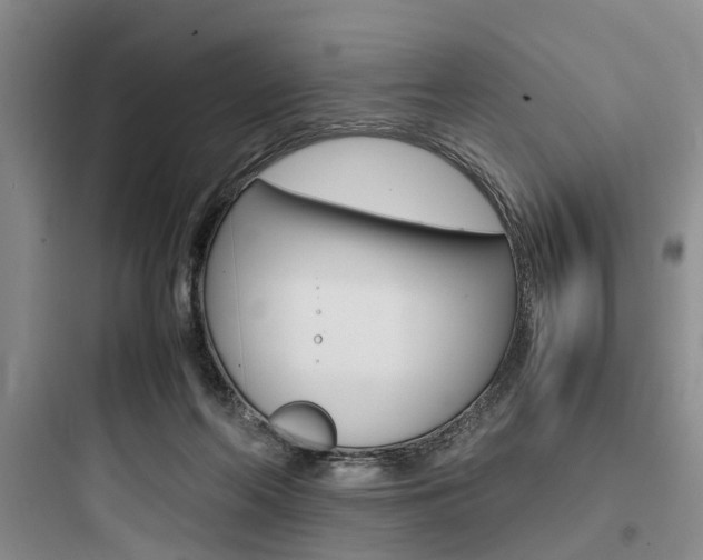 X0000097960214200803241049