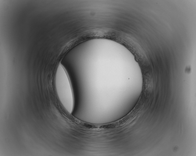 X0000097960216200803241049