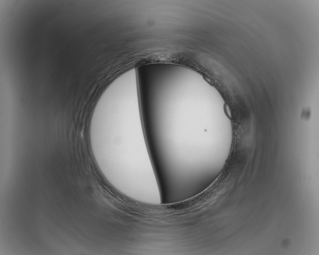 X0000097960217200803241049