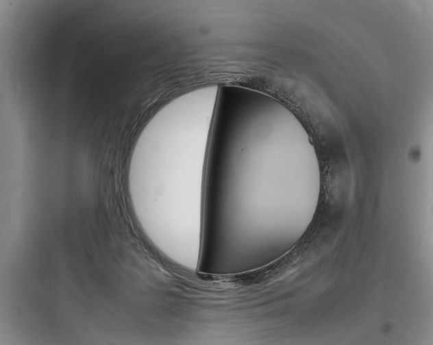 X0000097960219200803241049