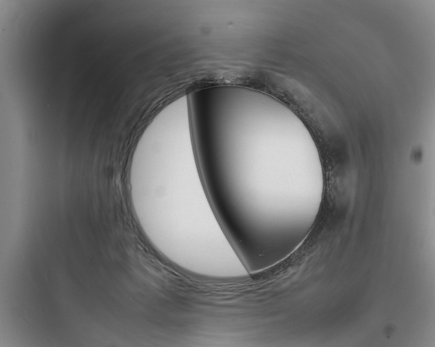 X0000097960221200803241049