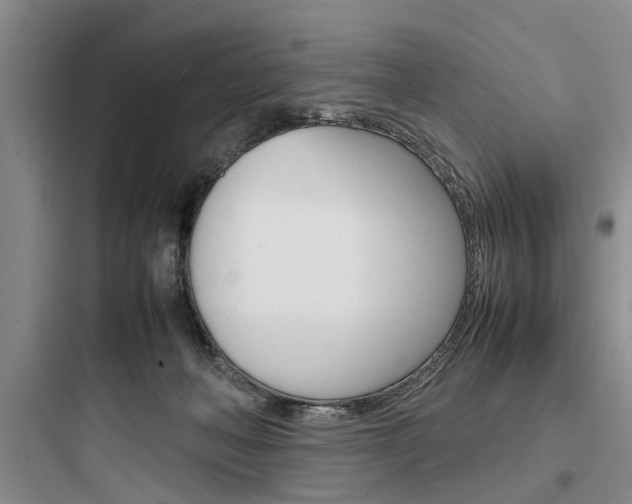 X0000097960222200803241049