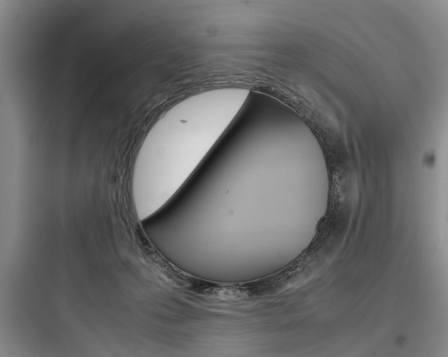 X0000097960223200803241049