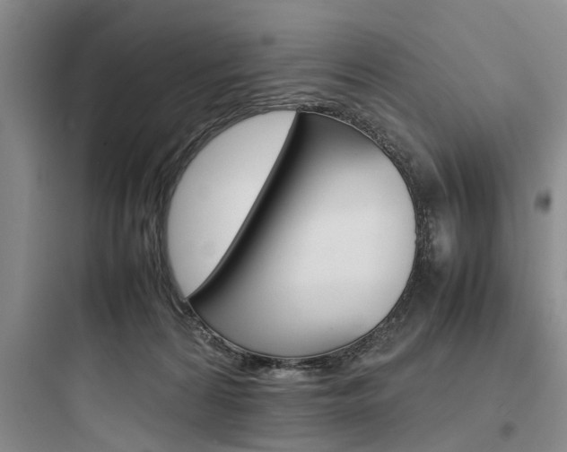 X0000097960224200803241049