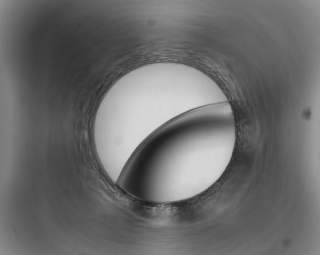 X0000097960225200803241049