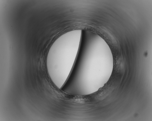 X0000097960228200803241049