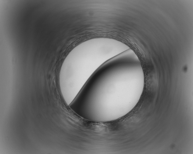 X0000097960229200803241049