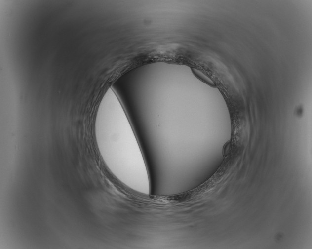 X0000097960231200803241049