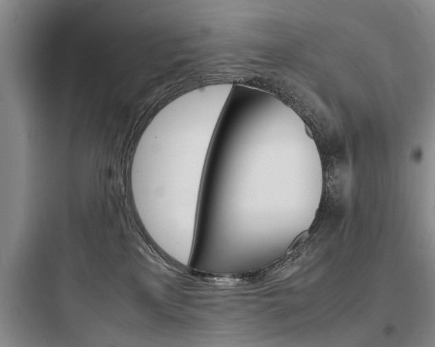 X0000097960233200803241049