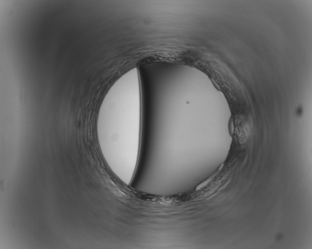 X0000097960235200803241049