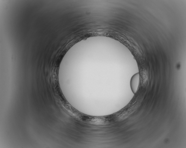 X0000097960236200803241049